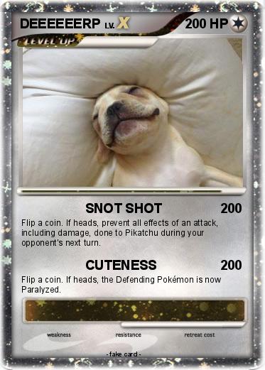 Pokemon DEEEEEERP