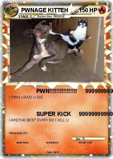 Pokemon PWNAGE KITTEH