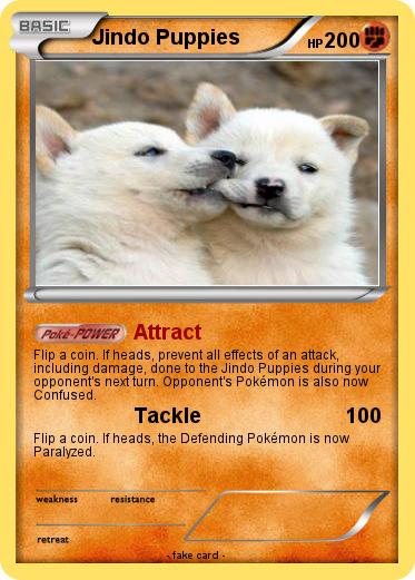 Pokemon Jindo Puppies