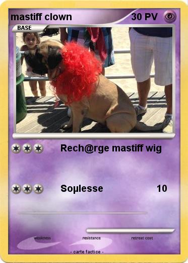 Pokemon mastiff clown