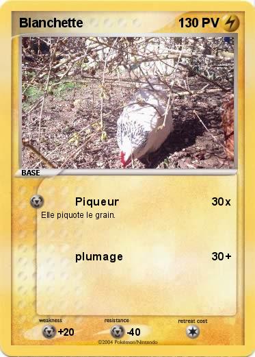 Pokemon Blanchette