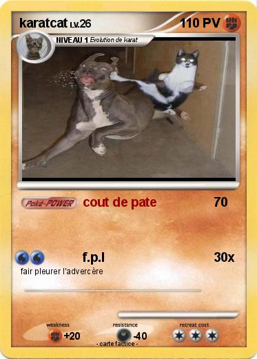 Pokemon karatcat