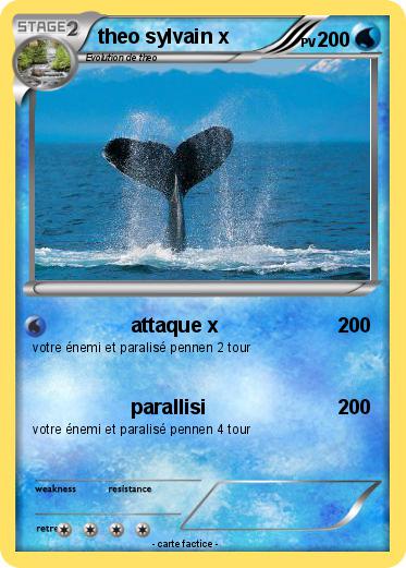 Pokemon theo sylvain x