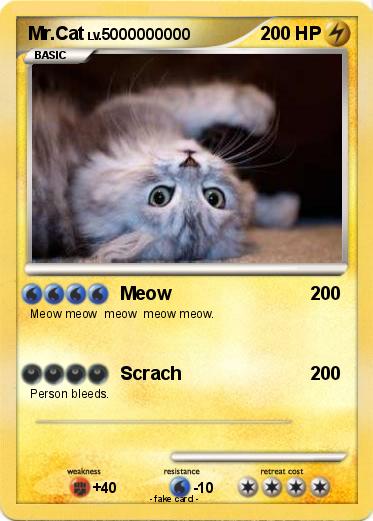 Pokemon Mr.Cat