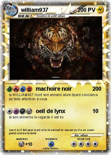 Pokemon william937