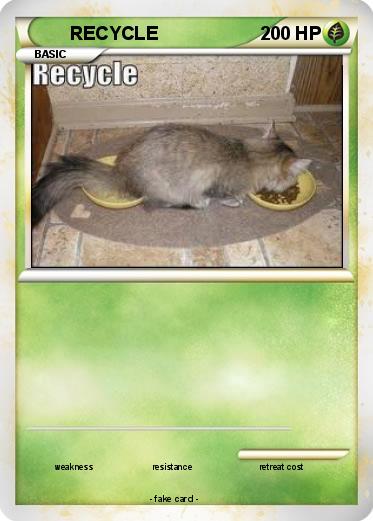 Pokemon RECYCLE