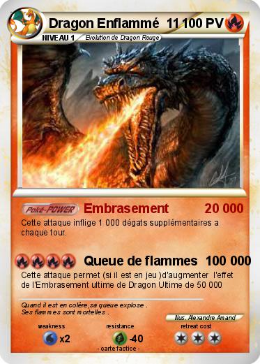 Pokemon Dragon Enflammé  11