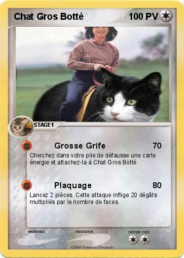 Pokemon Chat Gros Botté