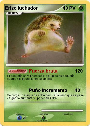 Pokemon Erizo luchador