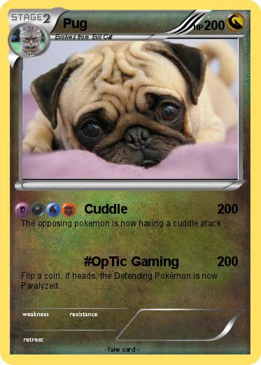 Pokemon Pug