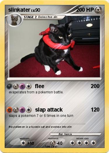 Pokemon slinkater