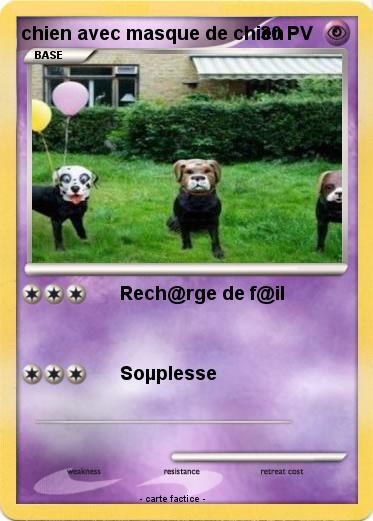 Pokemon chien avec masque de chien