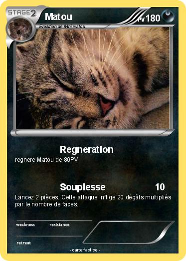 Pokemon Matou