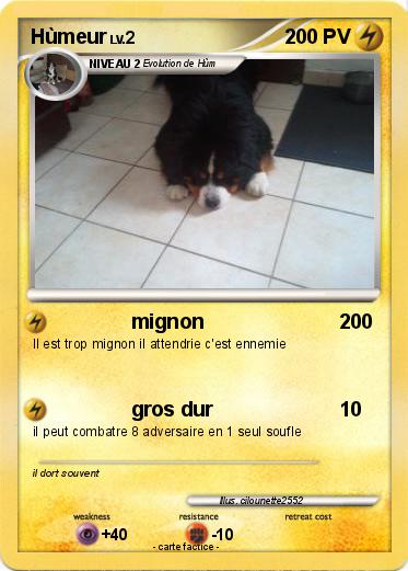 Pokemon Hùmeur