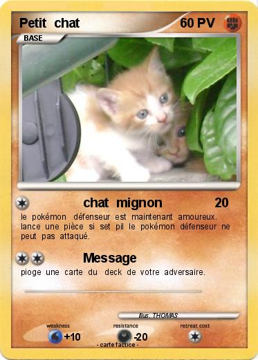 Pokemon Petit  chat