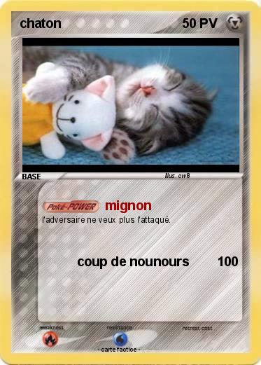 Pokemon chaton