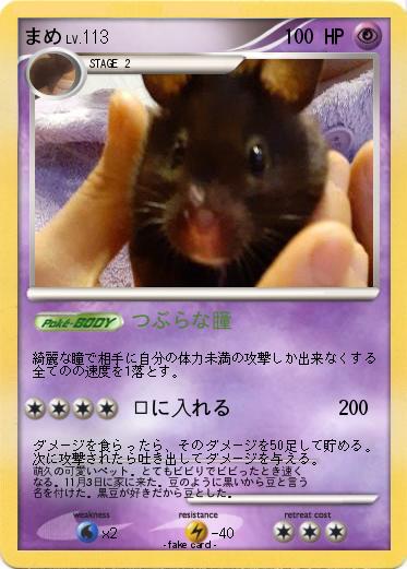 Pokemon まめ