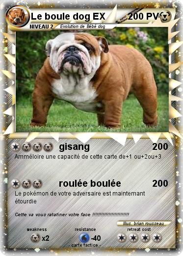 Pokemon Le boule dog EX