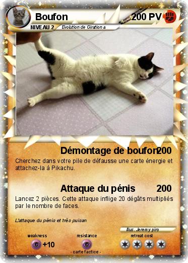 Pokemon Boufon