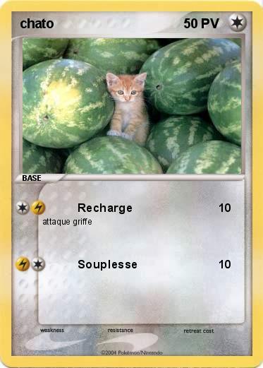 Pokemon chato
