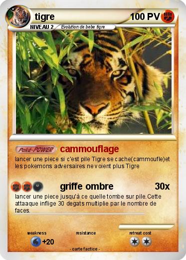 Pokemon tigre
