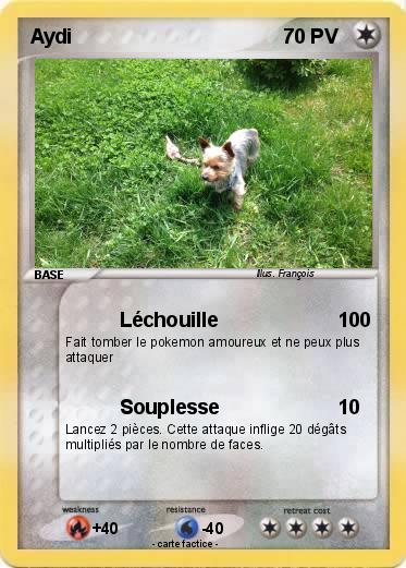 Pokemon Aydi