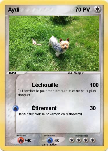 Pokemon Aydi