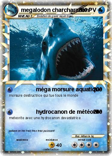 Pokemon megalodon charcharadon