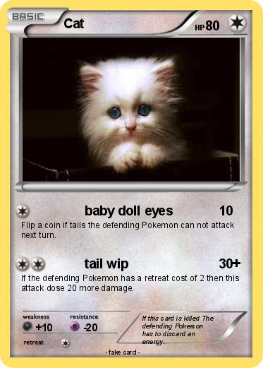 Pokemon Cat