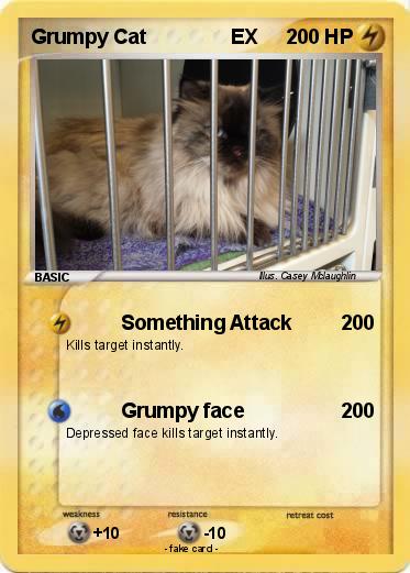 Pokemon Grumpy Cat               EX