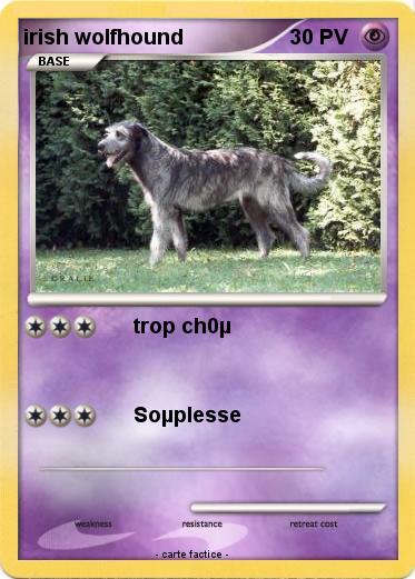 Pokemon irish wolfhound