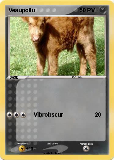 Pokemon Veaupoilu