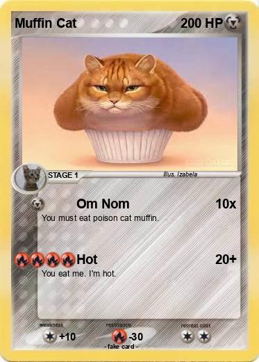 Pokemon Muffin Cat