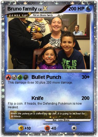 Pokemon Bruno family