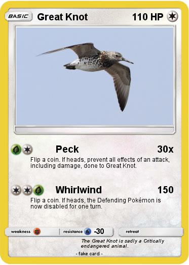 Pokemon Great Knot
