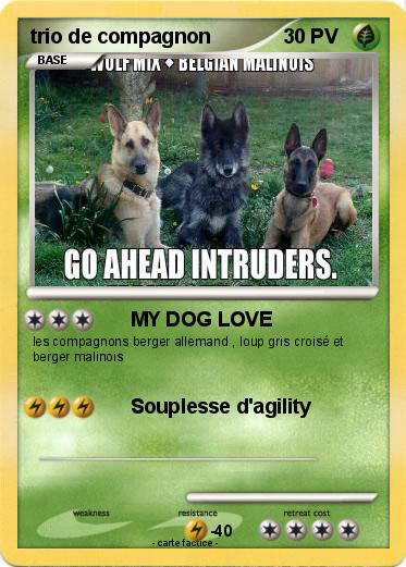 Pokemon trio de compagnon