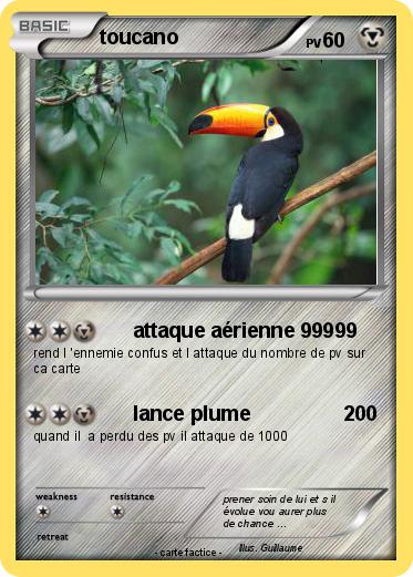 Pokemon toucano