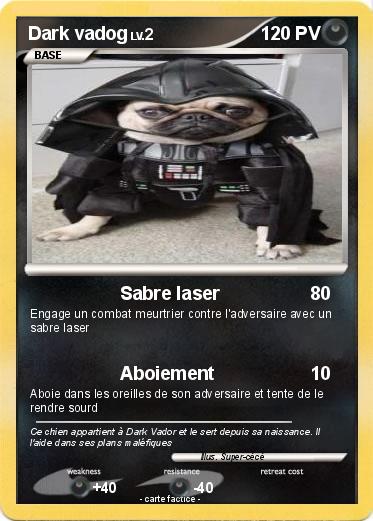 Pokemon Dark vadog