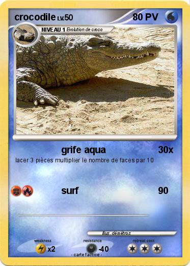 Pokemon crocodile