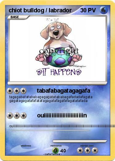 Pokemon chiot bulldog / labrador