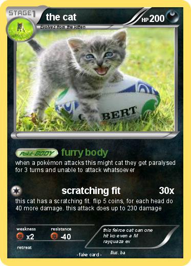 Pokemon the cat