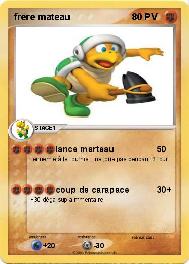 Pokemon frere mateau