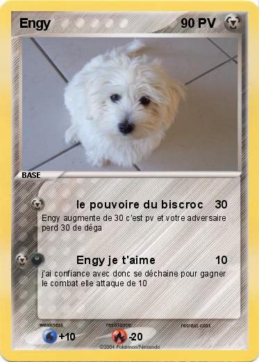 Pokemon Engy