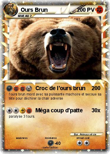 Pokemon Ours Brun