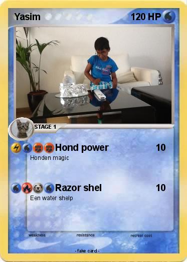 Pokemon Yasim