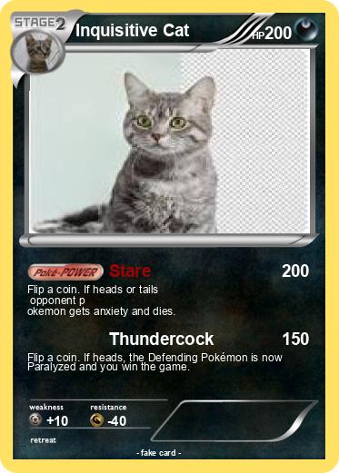 Pokemon Inquisitive Cat