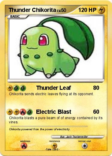 Pokemon Thunder Chikorita