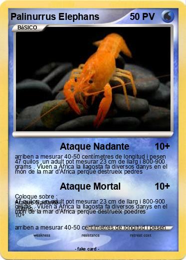 Pokemon Palinurrus Elephans