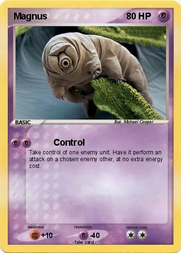 Pokemon Magnus