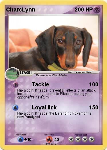 Pokemon CharcLynn